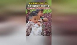 四人吃瓜视频免费观看,免费观看吃瓜视频盛宴